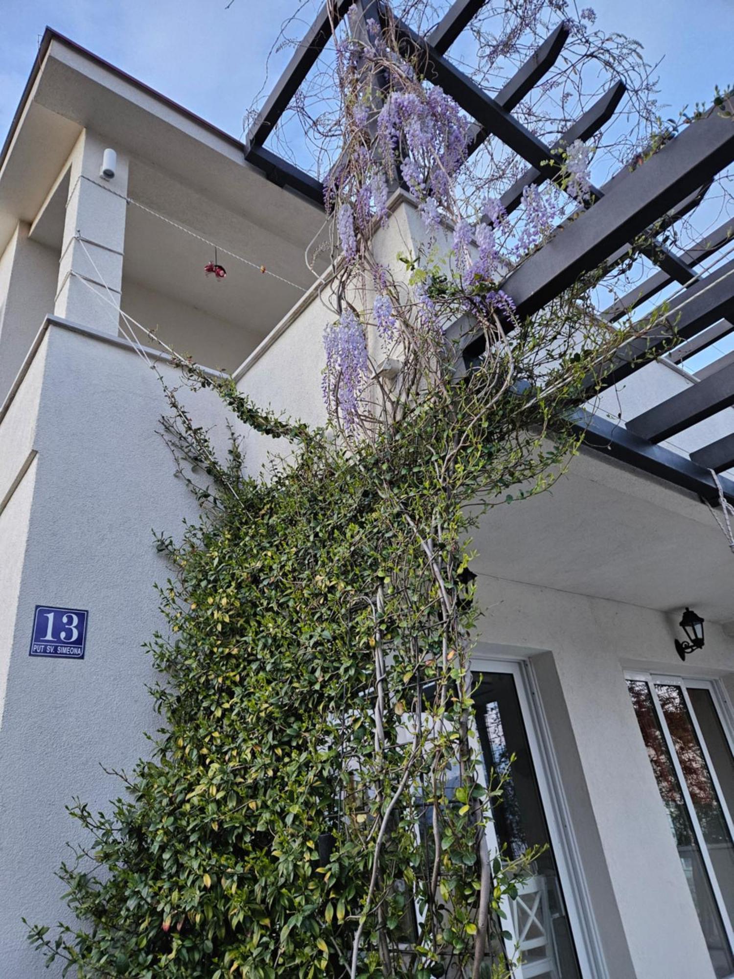 Vanjana Thenovici Exterior photo